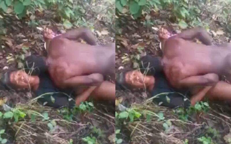 Trending village sex knacking video